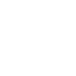 bandcamp icon in white