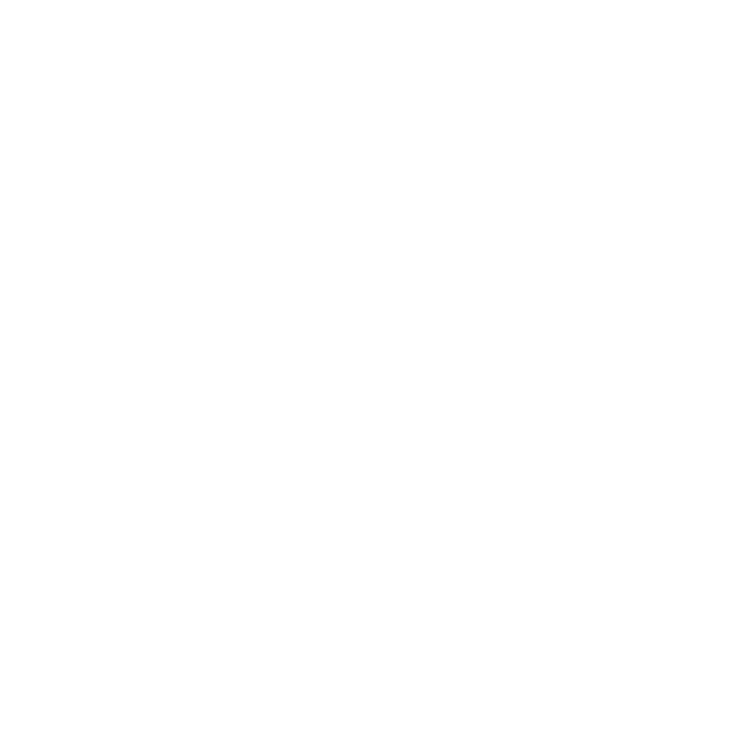 facebook icon in white