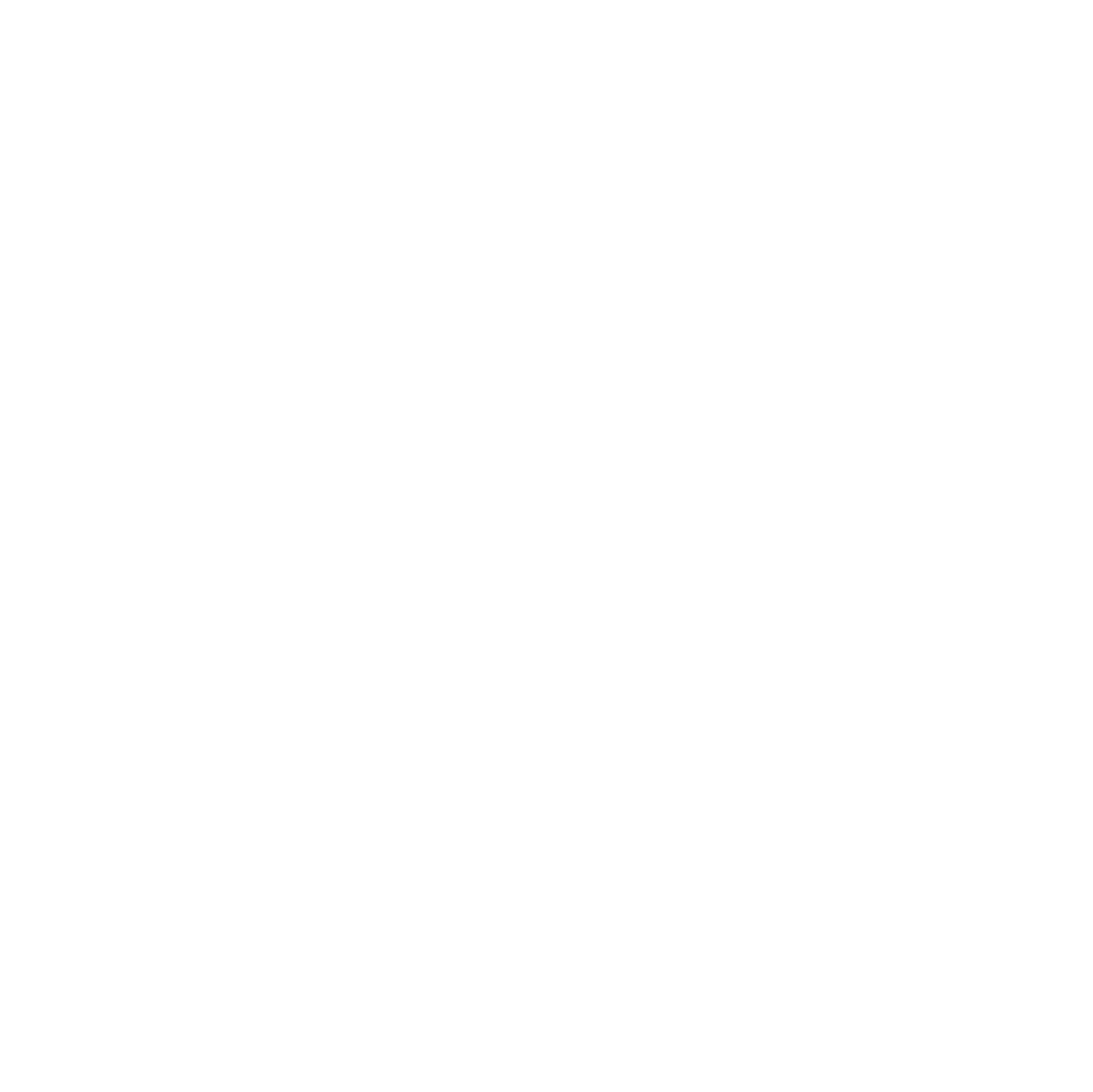 instagram icon in white