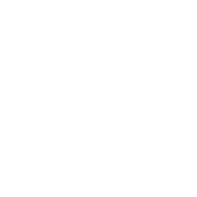 twitter icon in white